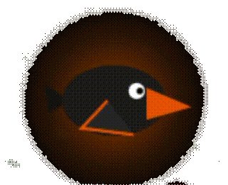 Grungy Crow